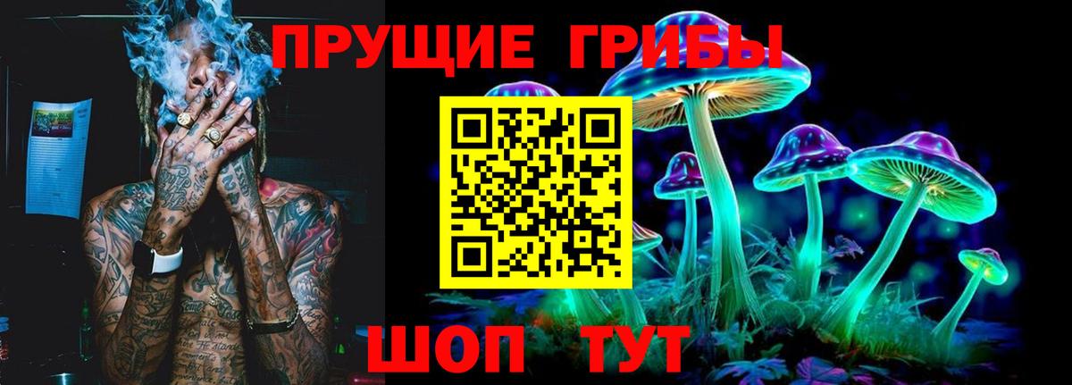 Псилоцибиновые грибы Cubensis  Вход с VPN  Феодосия 